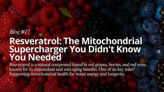 Supplement Smart: Resveratrol and Mitochondrial Health with mescreen™