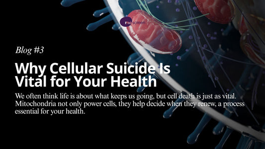 Why Cellular Suicide Is Vital for Your Health