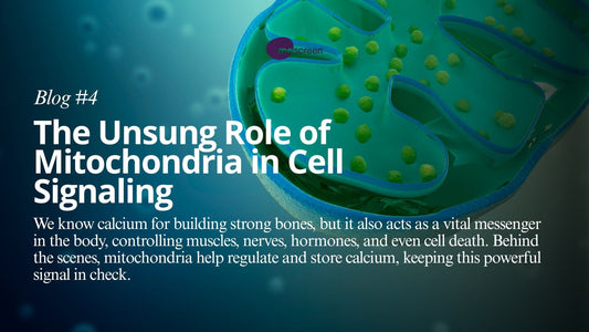 The Unsung Role of Mitochondria in Cell Signaling