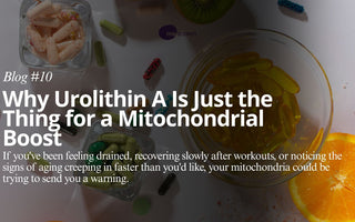Supplement Smart: Urolithin A and Personalized Mitochondrial Health with mescreen™