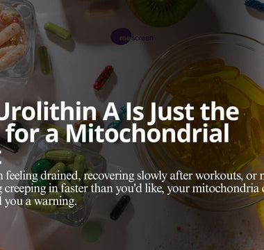 Supplement Smart: Urolithin A and Personalized Mitochondrial Health with mescreen™