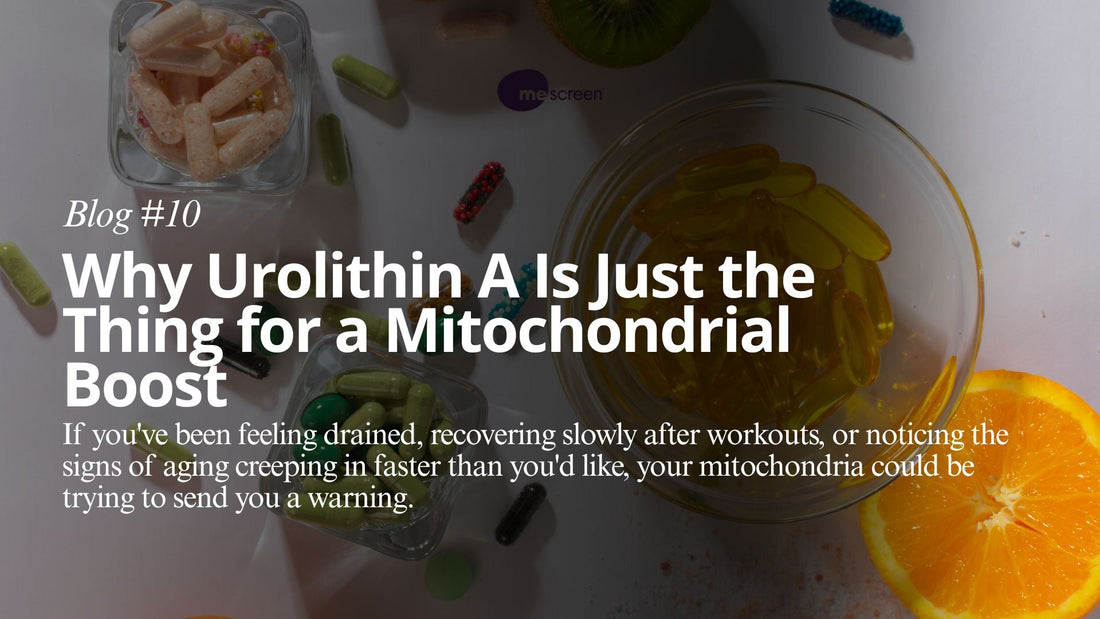 Supplement Smart: Urolithin A and Personalized Mitochondrial Health with mescreen™