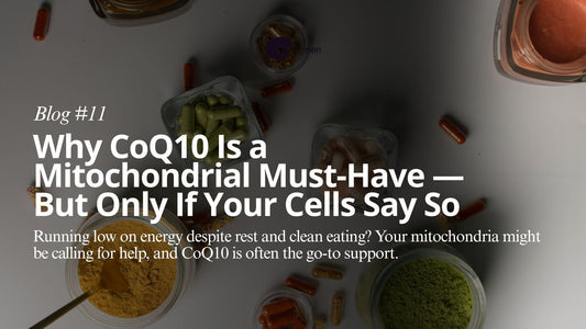 Supplement Smart: CoQ10 and Personalized Mitochondrial Health with mescreen™