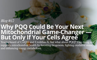 Supplement Smart: PQQ and Personalized Mitochondrial Health with mescreen™