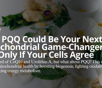 Supplement Smart: PQQ and Personalized Mitochondrial Health with mescreen™