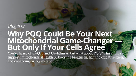 Supplement Smart: PQQ and Personalized Mitochondrial Health with mescreen™