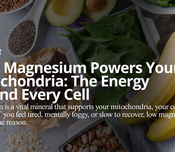 Supplement Smart: Magnesium and Mitochondrial Energy with mescreen™