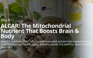 Supplement Smart: ALCAR and Personalized Mitochondrial Health with mescreen™