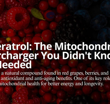 Supplement Smart: Resveratrol and Mitochondrial Health with mescreen™
