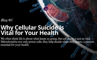 Why Cellular Suicide Is Vital for Your Health