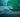 The Unsung Role of Mitochondria in Cell Signaling
