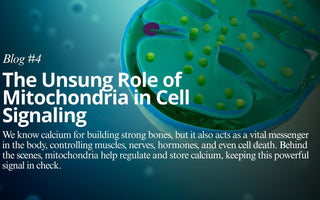 The Unsung Role of Mitochondria in Cell Signaling