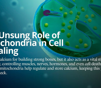 The Unsung Role of Mitochondria in Cell Signaling