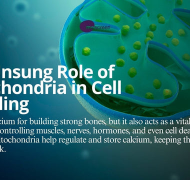 The Unsung Role of Mitochondria in Cell Signaling