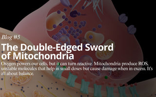 The Double-Edged Sword of Mitochondria