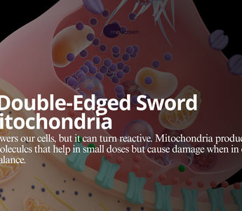The Double-Edged Sword of Mitochondria