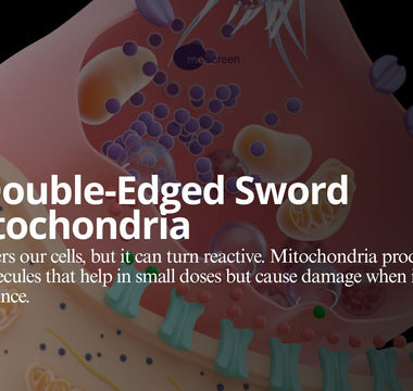 The Double-Edged Sword of Mitochondria