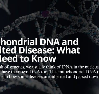 Mitochondrial DNA and Inherited Disease: What You Need to Know