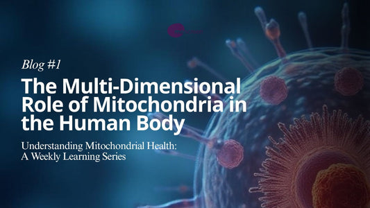 The Multi-Dimensional Role of Mitochondria in the Human Body