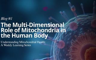 The Multi-Dimensional Role of Mitochondria in the Human Body