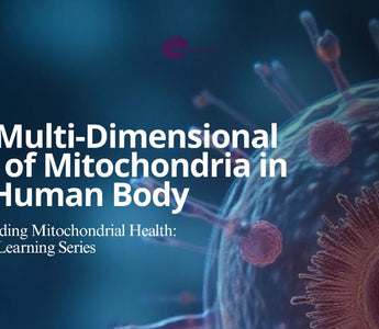 The Multi-Dimensional Role of Mitochondria in the Human Body
