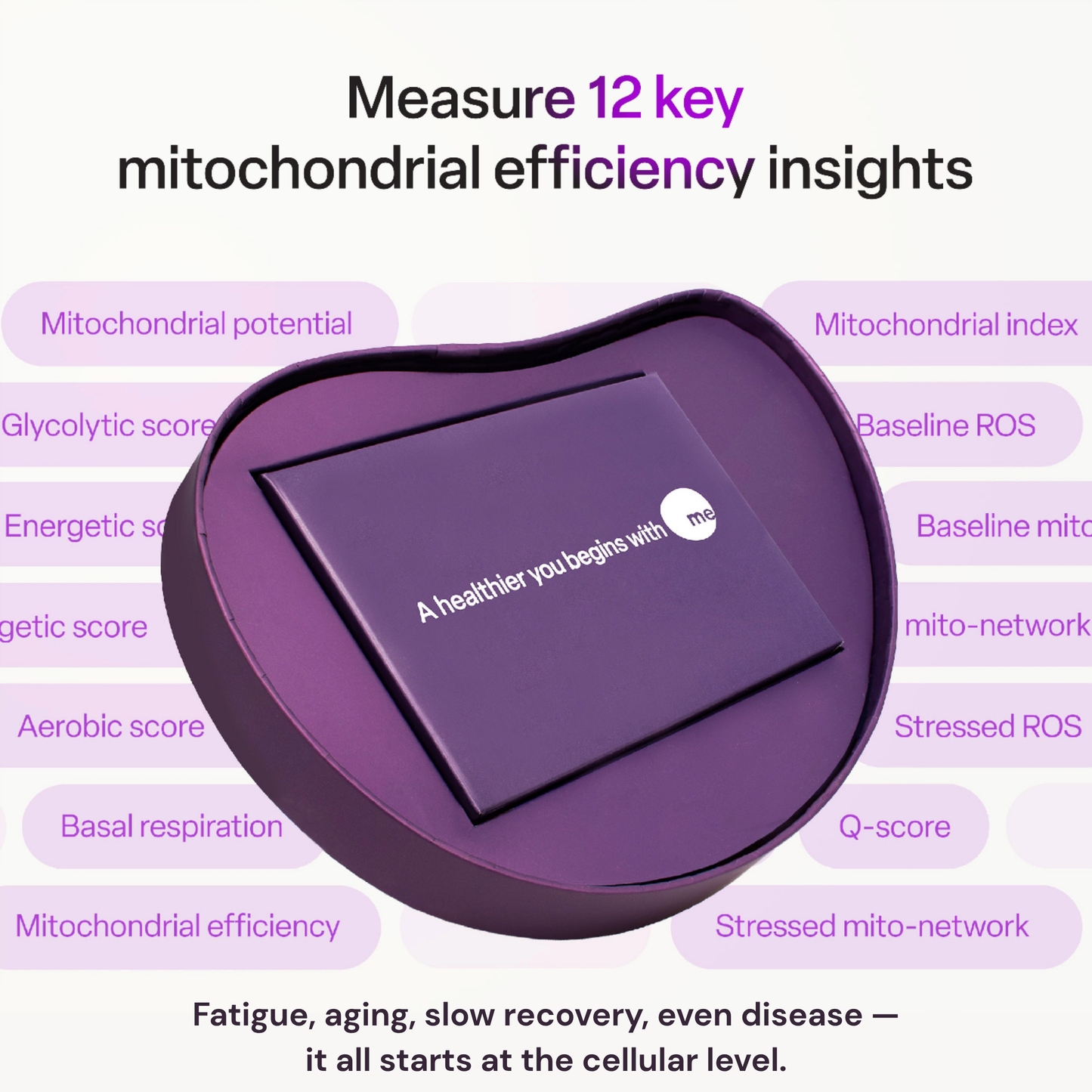 mescreen™ Mitochondrial Test + Healthcare Provider Consult