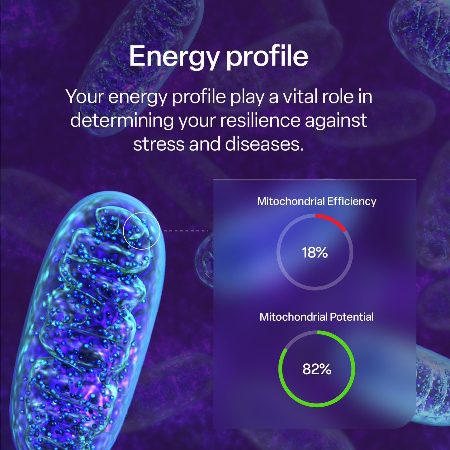 mescreen™  Mitochondria Efficiency Test