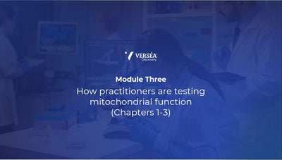 Module 3 Chapter 1