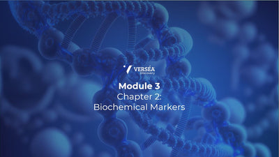 Module 3 Chapter 2